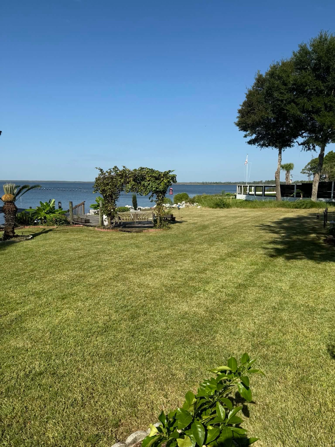 Beautifully landscaped yard transformation